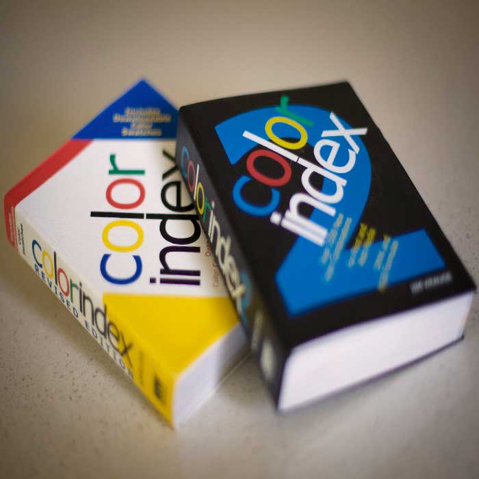 5 Fun Things to Do at the Beach